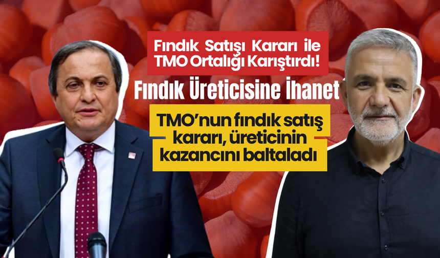 Fındık Satışı Kararı ile TMO Ortalığı Karıştırdı! Tepkiler Çığ Gibi!