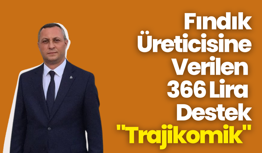 Fındık Üreticisine Verilen 366 Lira Destek "Trajikomik"