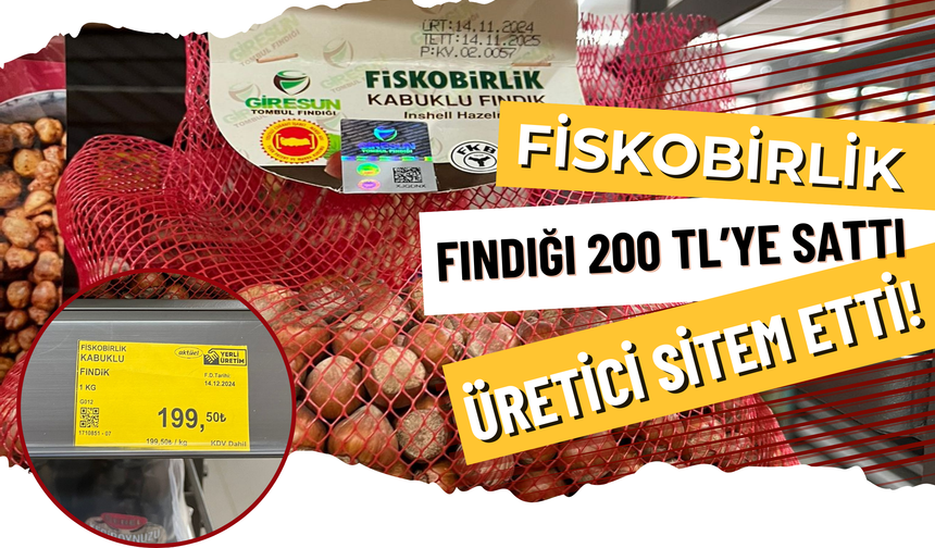 Giresun Tombul Fındığı, Ordu'da 200 TL’ye Alıcı Buluyor!