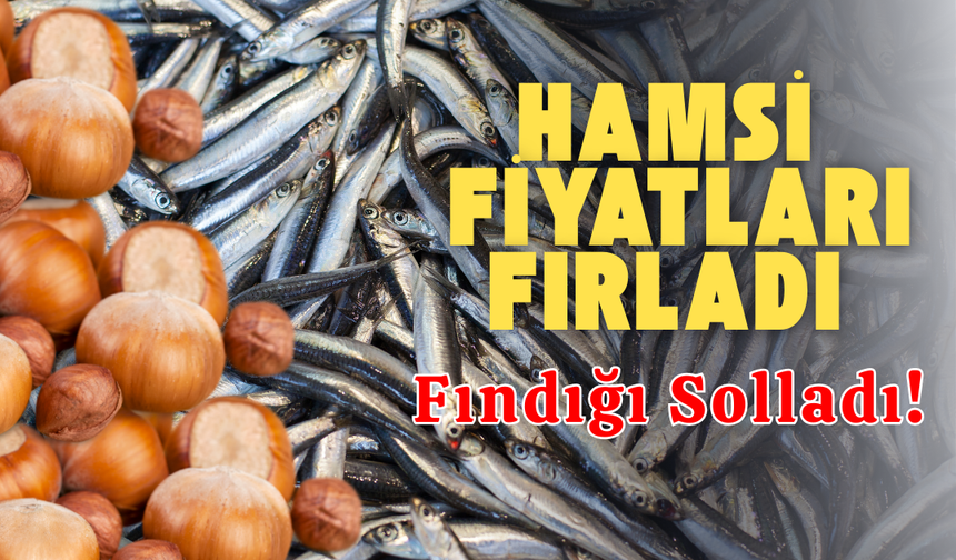 Hamsi Fiyatları Fırladı, Fındığı Solladı!