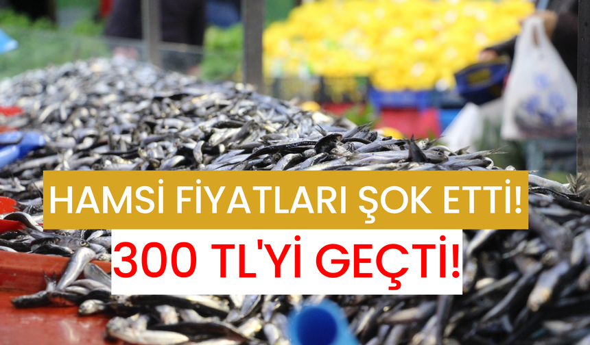 Hamsi Fiyatları Şok Etti! 300 TL'yi Geçti!