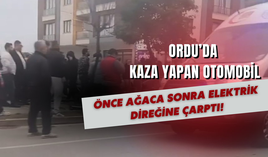 Önce Ağaca Sonra Elektrik Direğine Çarptı!