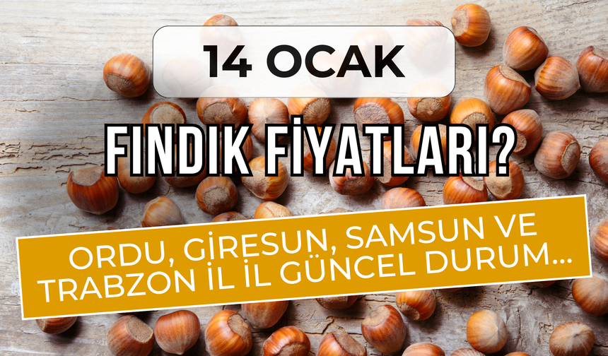 14 Ocak Fındık Fiyatları? Ordu, Giresun, Samsun ve Trabzon İl İl Güncel Durum…