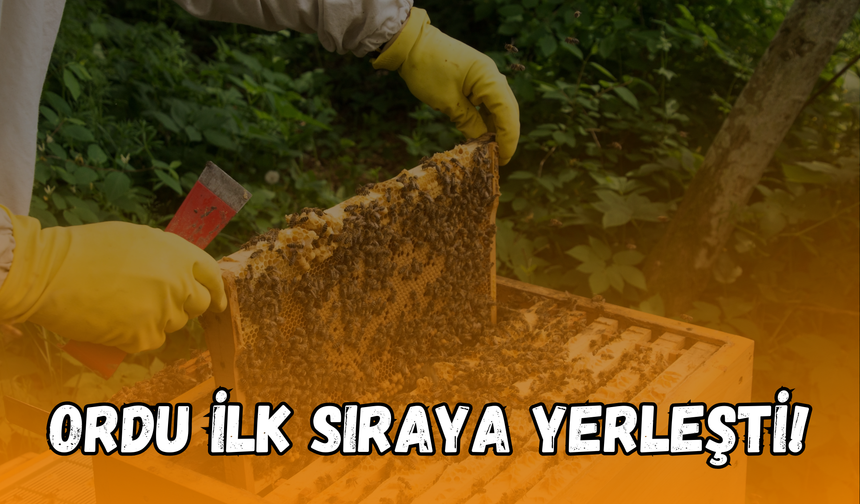 Ordu İlk Sıraya Yerleşti!