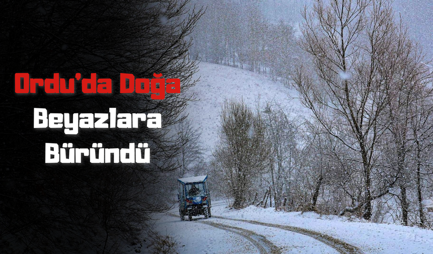 Ordu’da Doğa Beyazlara Büründü