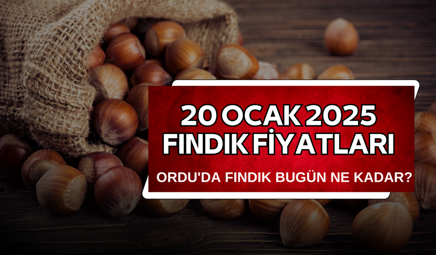 20 Ocak 2025 Fındık Fiyatları: Ordu'da Fındık Bugün Ne Kadar?