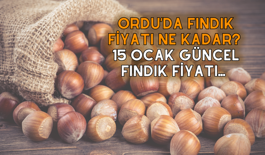 Ordu’da Fındık Fiyatı NE Kadar? 15 Ocak Güncel Fındık Fiyatı…