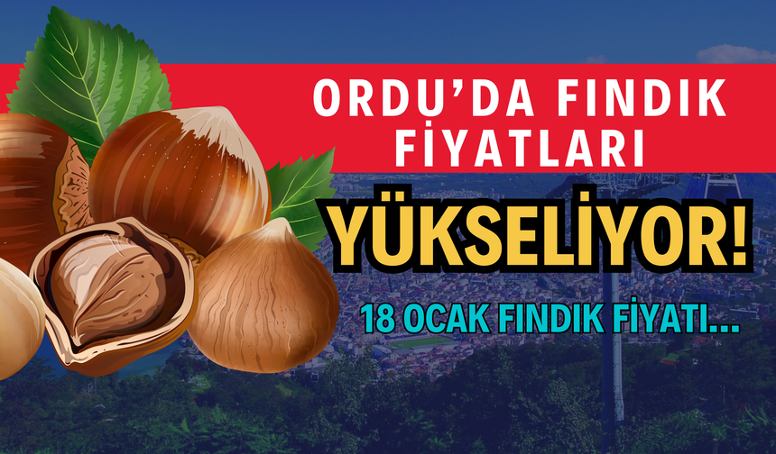 Ordu’da Fındık Fiyatları Yükseliyor! 18 Ocak Fındık Fiyatı…