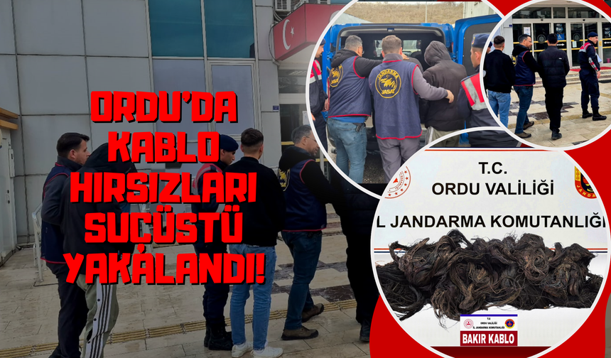 Ordu’da Kablo Hırsızları Suçüstü Yakalandı!