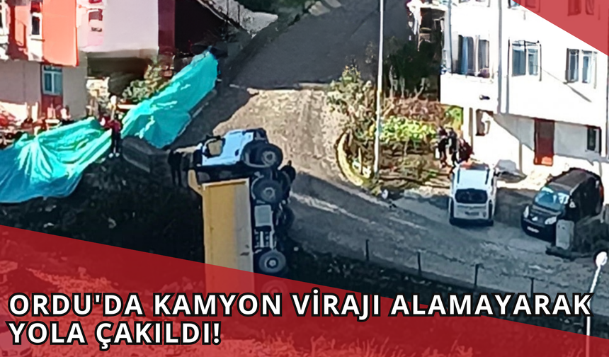 Ordu'da Kamyon Virajı Alamayarak Yola Çakıldı!