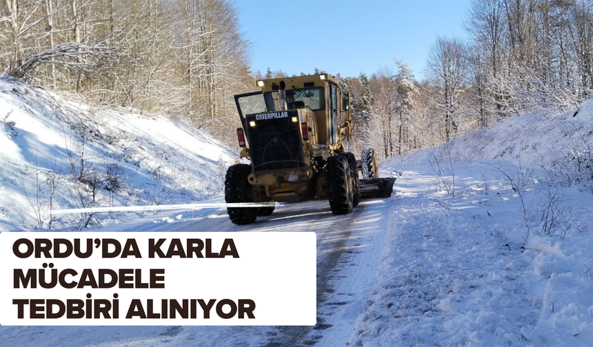 Ordu’da Karla Mücadele Tedbiri Alınıyor