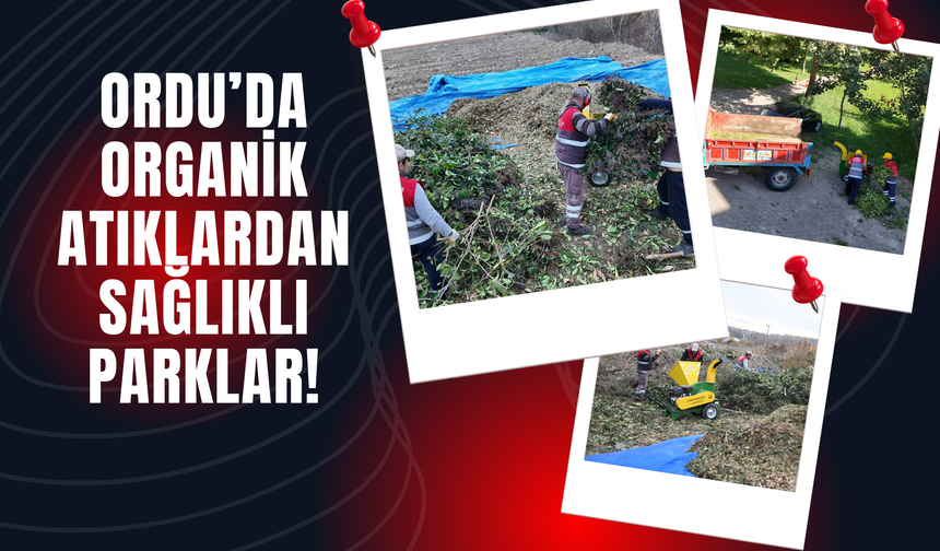 Ordu’da Organik Atıklardan Sağlıklı Parklar!