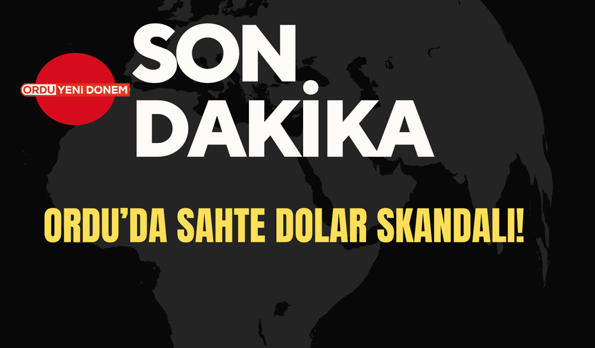 Ordu’da Sahte Dolar Skandalı!