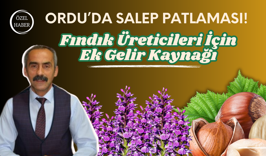 Ordu’da Salep Patlaması! Fındık Üreticileri İçin Ek Gelir Kaynağı!