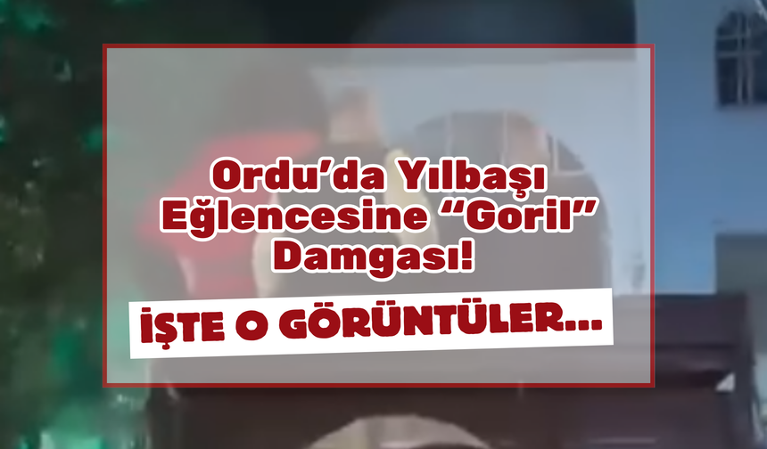 Ordu’da Yılbaşı Eğlencesine “Goril” Damgası! İşte O Görüntüler…