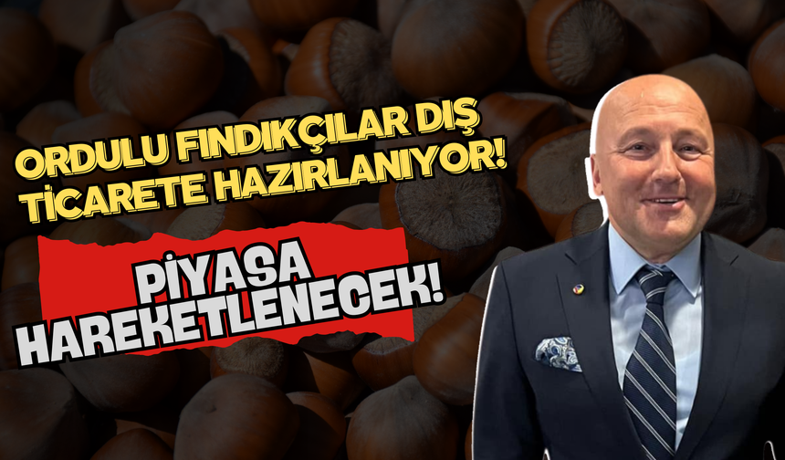 Ordulu Fındıkçılar Dış Ticarete Hazırlanıyor! Piyasa Hareketlenecek!