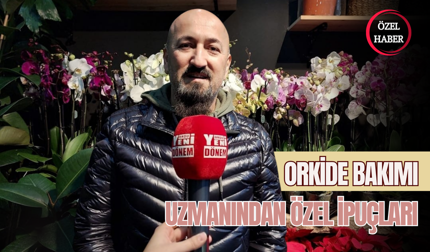 Orkide Bakımı: Uzmanından Özel İpuçları