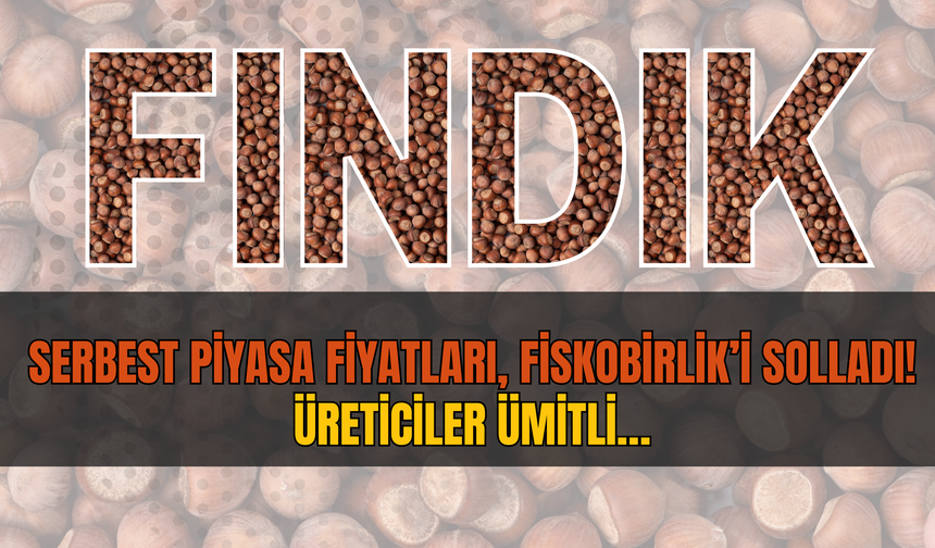 Serbest Piyasa Fiyatları, Fiskobirlik’i Solladı! Üreticiler Ümitli…