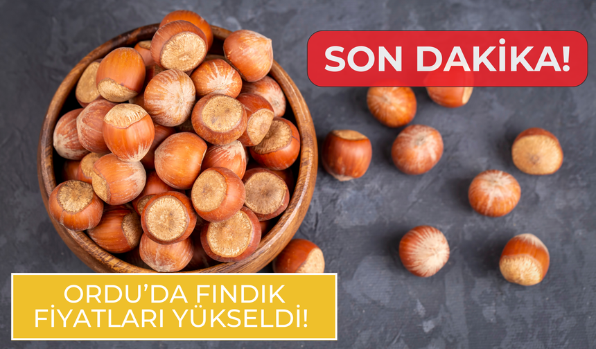 Son Dakika! Ordu’da Fındık Fiyatları Yükseldi!