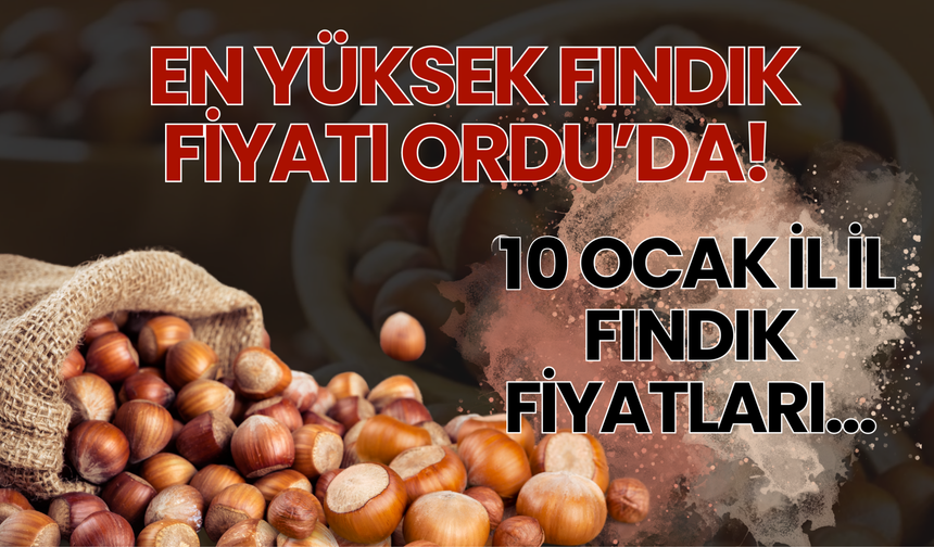 En Yüksek Fındık Fiyatı Ordu’da! 10 Ocak İl İl Fındık Fiyatları…