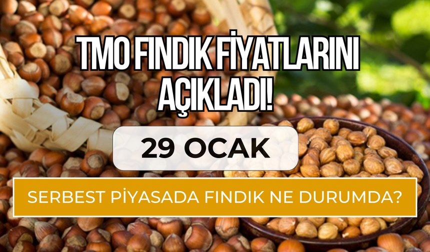 TMO Fındık Fiyatlarını Açıkladı! Serbest Piyasada Fındık Ne Durumda?