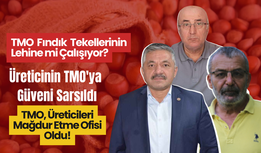 Fındık Fiyatları Yükselirken TMO Neden Satışa Başladı?