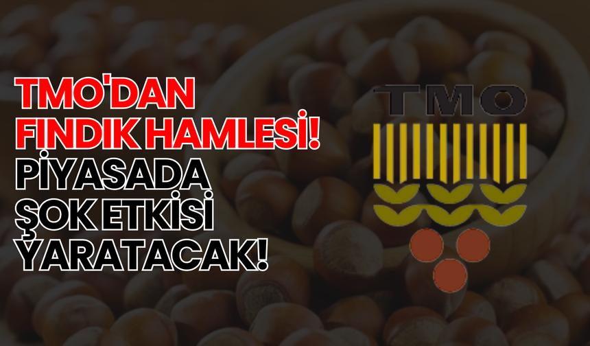 TMO'dan Fındık Hamlesi! Piyasada Şok Etkisi Yaratacak!