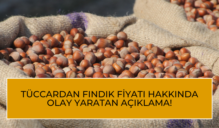 Tüccardan Fındık Fiyatı Hakkında Olay Yaratan Açıklama!