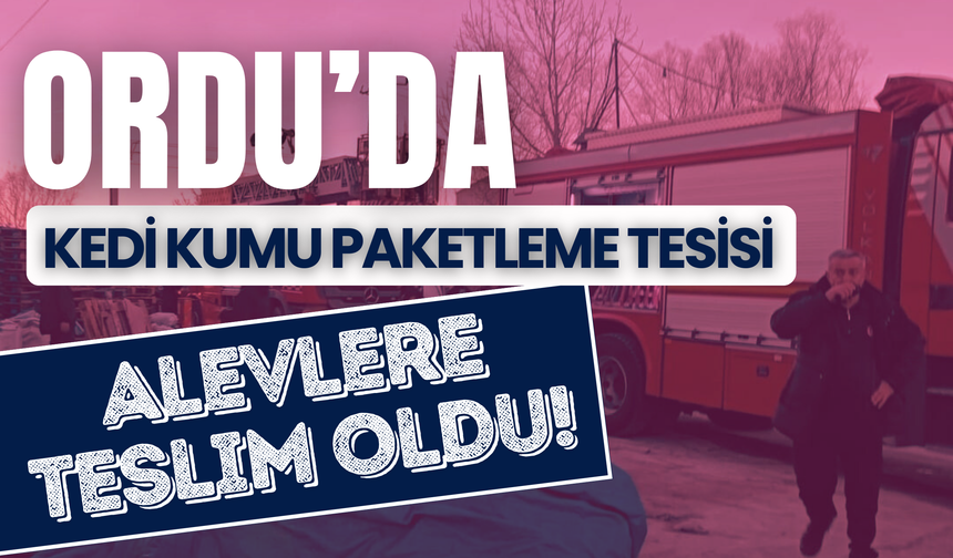 Ünye’de kedi kumu paketleme tesisi alevlere teslim oldu!