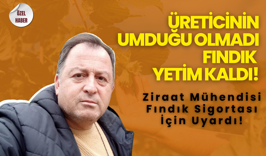 Üreticinin Umduğu Olmadı, Fındık Yetim Kaldı!