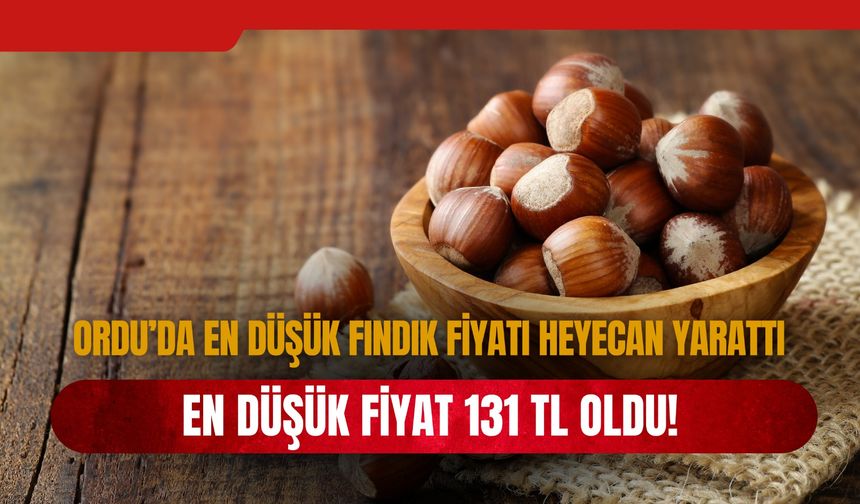 Ordu’da En Düşük Fındık Fiyatı 131 TL Oldu!