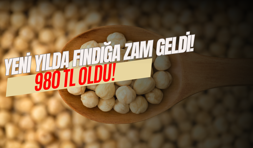 Yeni Yılda Fındığa Zam Geldi! 980 TL Oldu!