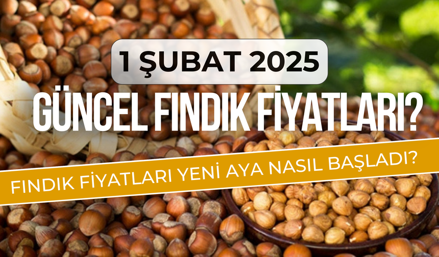 1 Şubat 2025 Güncel Fındık Fiyatları? Fındık Fiyatları Yeni Aya Nasıl Başladı?