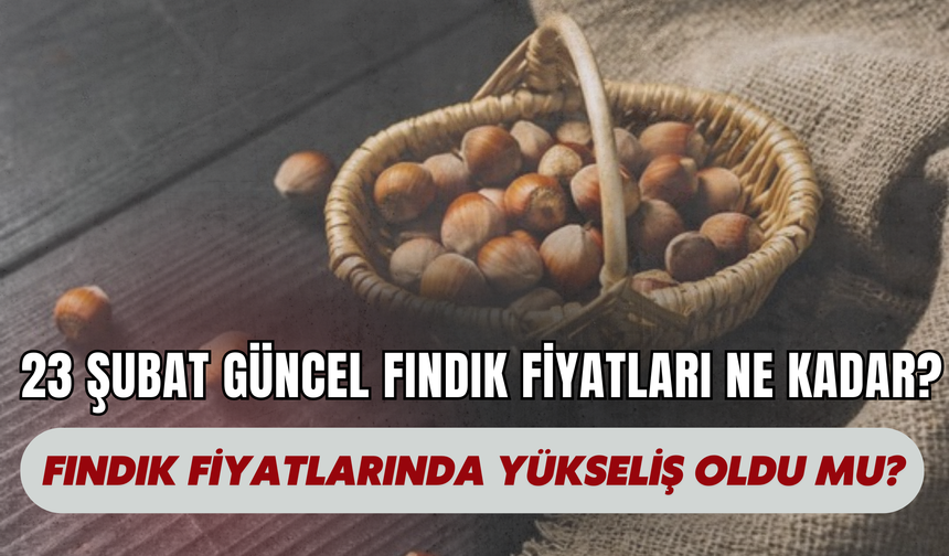 23 Şubat Güncel Fındık Fiyatları Ne Kadar? Fındık Fiyatlarında Yükseliş Oldu Mu?