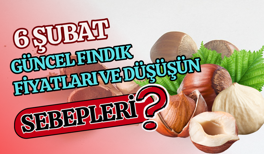 6 Şubat Güncel Fındık Fiyatları ve Düşüşün Sebepleri