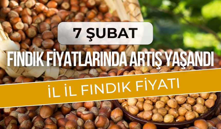 Fındık Fiyatlarında Artış Yaşandı! 7 Şubat 2025 Güncel Fındık Fiyatları....