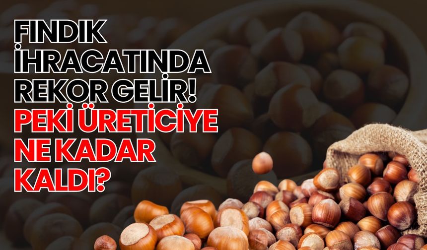 Fındık İhracatında Rekor Gelir! Peki Üreticiye Ne Kadar Kaldı?