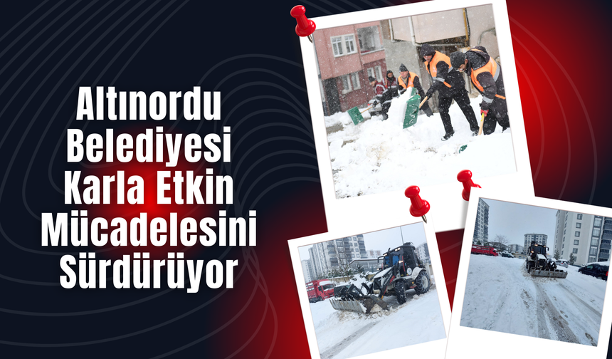 Altınordu Belediyesi Karla Etkin Mücadelesini Sürdürüyor