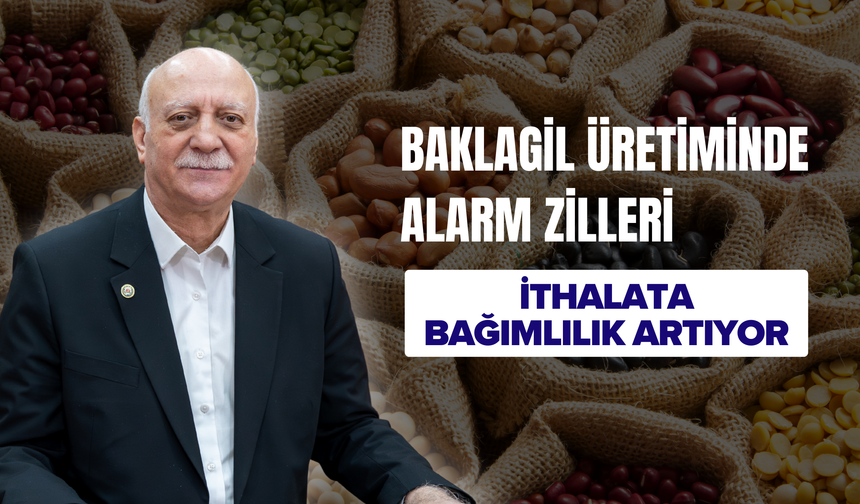 Baklagil Üretiminde Alarm Zilleri: İthalata Bağımlılık Artıyor