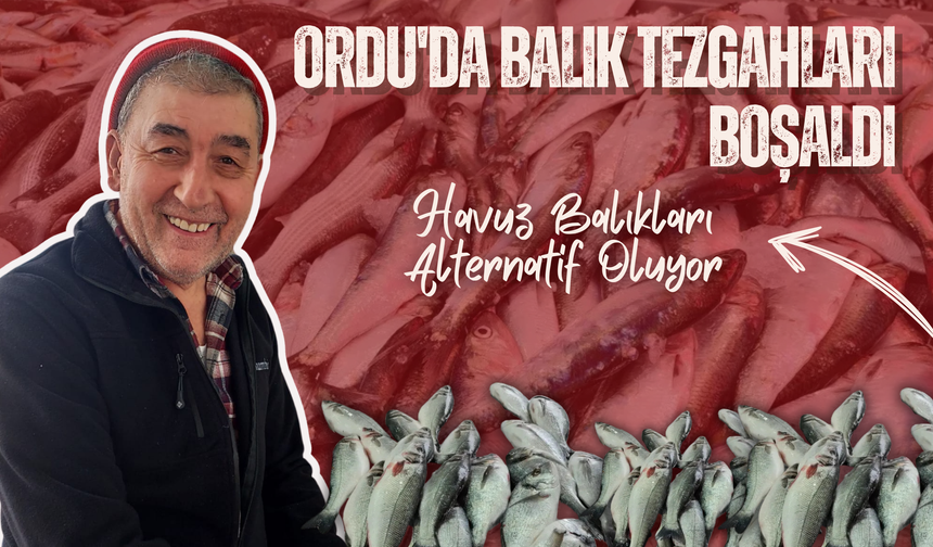 Ordu'da Balık Tezgahları Boşaldı Fiyatlar Cep Yakıyor