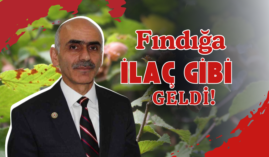 Fındığa İlaç Gibi Geldi!