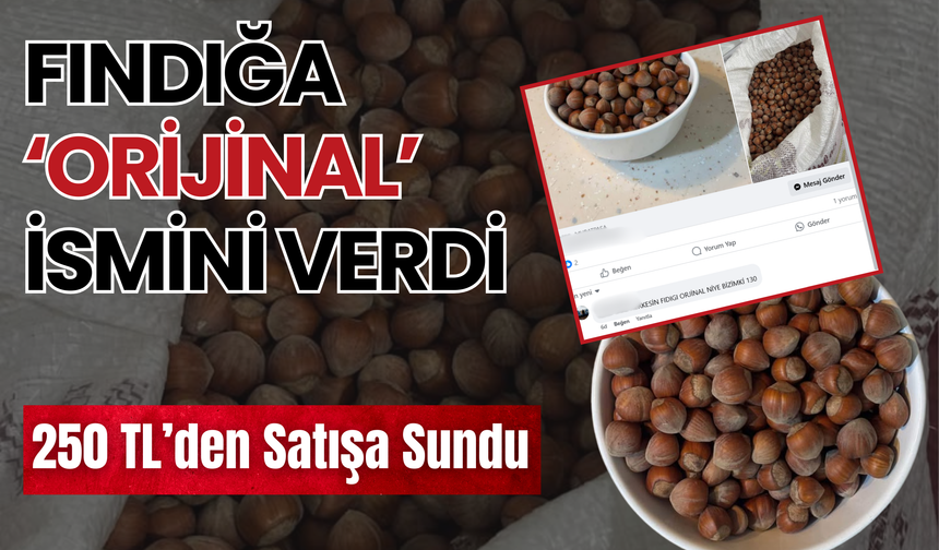 Fındığa ‘Orijinal’ İsmini Verdi, 250 TL’den Satışa Sundu