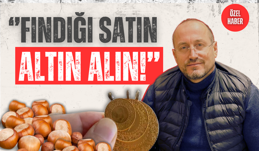 Ordulu Fındık Üreticilerine “Altın” Tavsiyeler!