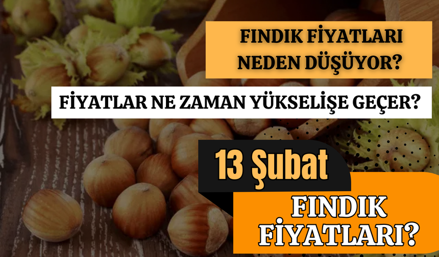 Fındık Fiyatları Neden Düşüyor? Fiyatlar Ne Zaman Yükselişe Geçer? 13 Şubat Fındık Fiyatları…