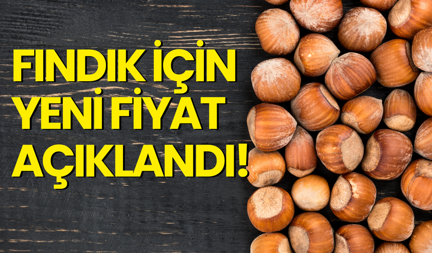 Fındık İçin Yeni Fiyat Açıklandı!