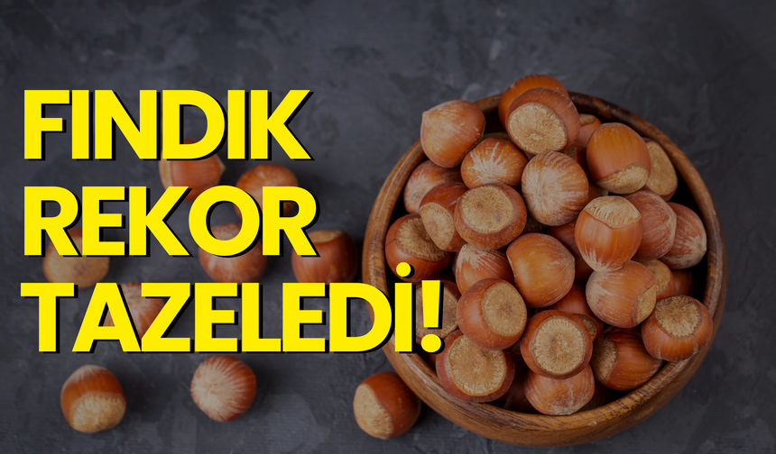 Fındık Rekor Tazeledi!