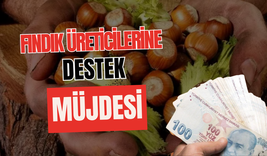 Fındık Üreticilerine Destek Müjdesi