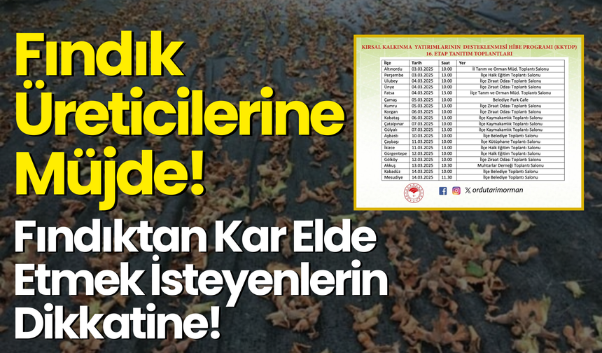 Fındık Üreticilerine Müjde! Fındıktan Kar Elde Etmek İsteyenlerin Dikkatine!