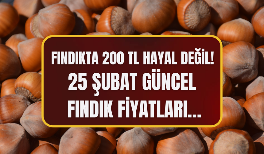 Fındıkta 200 TL Hayal Değil! 25 Şubat Güncel Fındık Fiyatları…