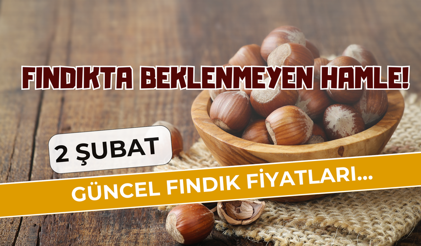 Fındıkta Beklenmeyen Hamle! 2 Şubat Güncel Fındık Fiyatları…